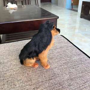 आभूषण कृत्रिम पशु मॉडल शिल्प पालतू खिलौने कमरे में रहने वाले जर्मन शेफर्ड घर सजावट बैठे यथार्थवादी कुत्ते - Product Image 5