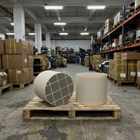 Support catalytique DPF en carbure de silicium alvéolé haute température pour moteur de camion poids lourd, traitement des émissions Euro VI pour Daf Scania