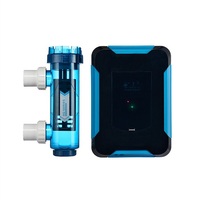 Chlorateur de sel de piscine gonflable en PVC d'usine pour système de désinfection de l'eau pour enfants pour piscines thermales