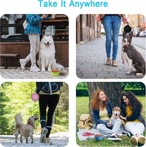 Bol pliable en silicone pour animaux de compagnie avec logo personnalisé, facile à nettoyer, pliable, pour chien, pour chiot, pour l'extérieur - Product Image 4