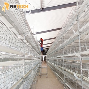 Jaulas para Pollos <span class=keywords><strong>de</strong></span> Granja RETECH, Jaulas para Gallinas Ponedoras, Jaula para Aves <span class=keywords><strong>de</strong></span> Corral para 20000 Pollos en <span class=keywords><strong>Guinea</strong></span> - Product Image 1