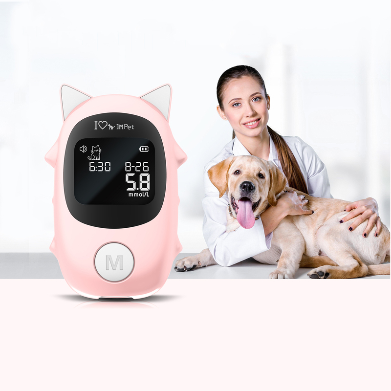Quick Check Home Medical Testing Glucose