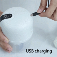 Outils pour fruits et légumes, hachoir électrique pour ail et oignon, mini hachoir à légumes USB pour la cuisine, 350 ml