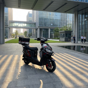 Moto électrique de livraison haute puissance 240-2000W pour trajets urbains longue portée – Vélos électriques - Product Image 6
