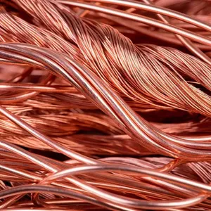Traders of Fresh Garlic Copper Wire Scrap suppliers, manufacturers, exporters for buying in Bangladesh