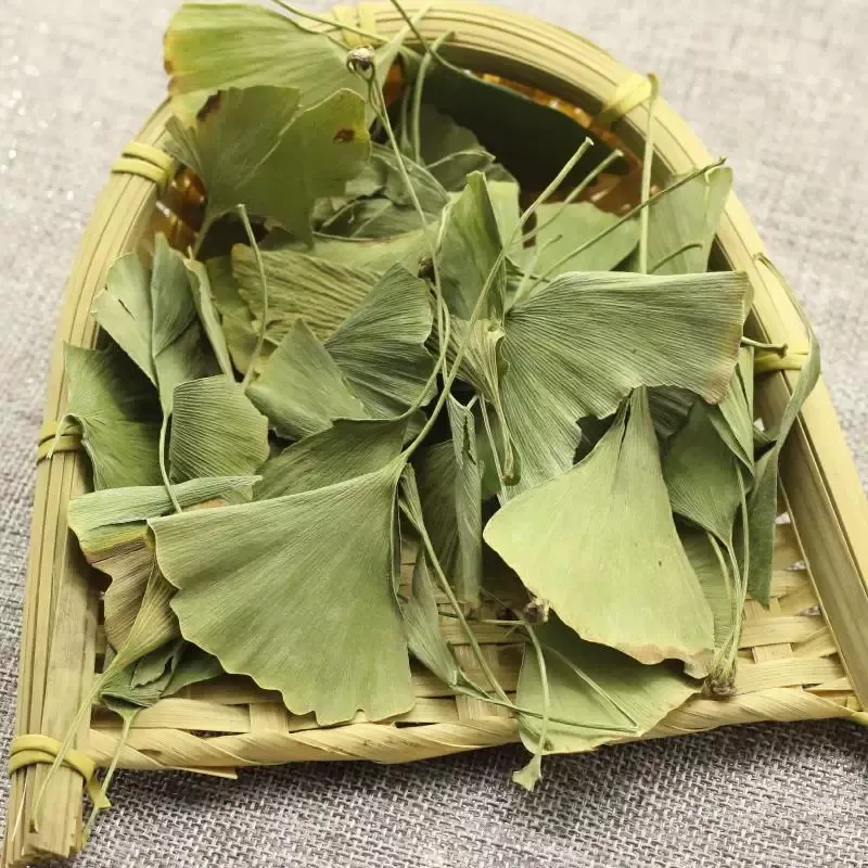 Natural dried gingko biloba tea dry green gingko leaf Healthy herbal gingko duzhong tea