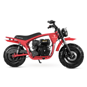 รถมอเตอร์ไซค์ Tao Motor 2025 รุ่นใหม่ โครงเหล็ก ยางอ้วน สำหรับขับขี่ออฟโรด 200 ซีซี มินิไบค์ - Product Image 5