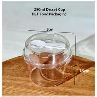 Gobelet à dessert transparent en PET de 250 ml avec couvercle et cuillère, boîte à tiramisu, boîte à gâteau, boîte à mousse, boîte à yaourt, boîte à pudding, emballage transparent