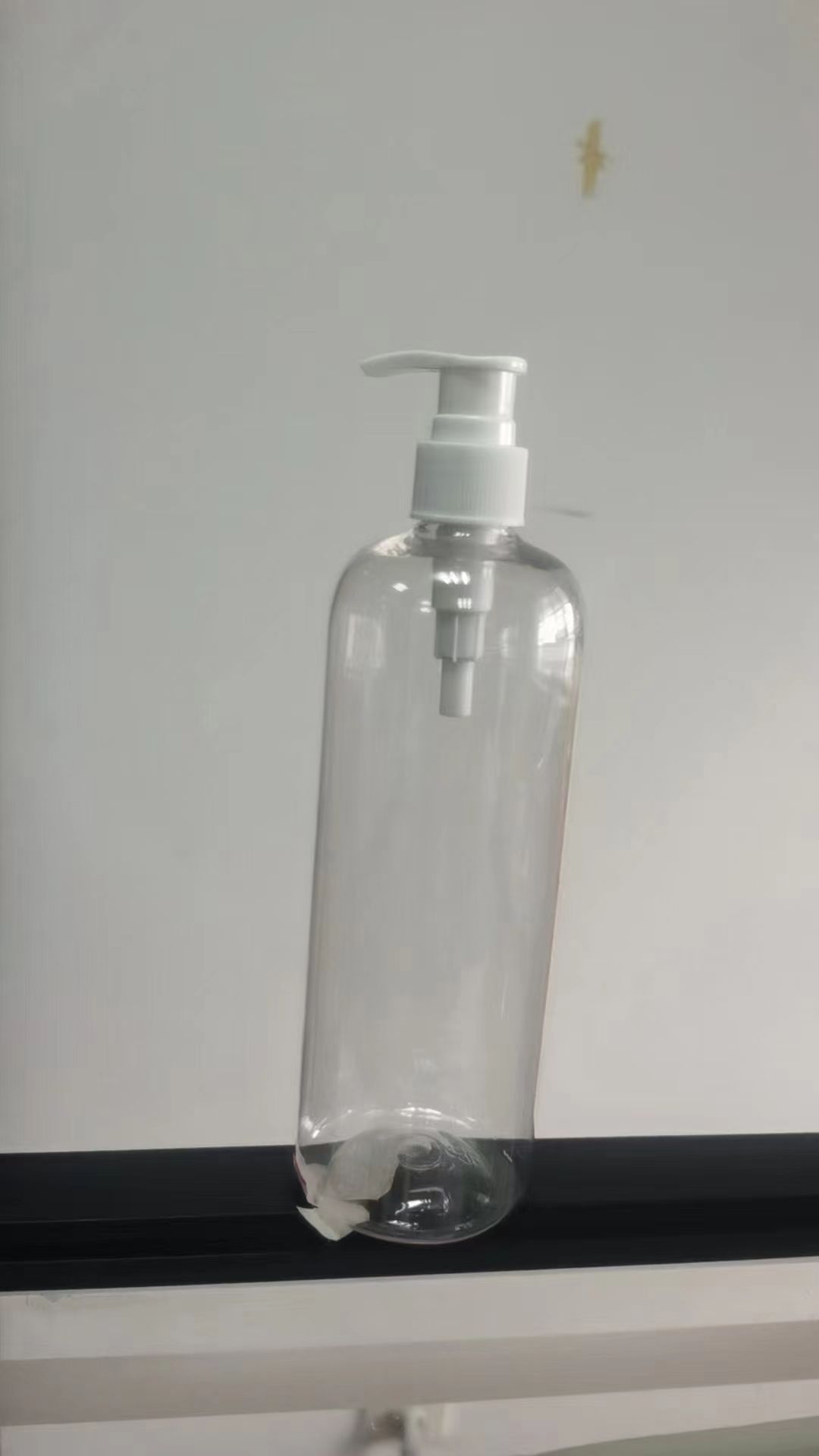 โปร่งใส