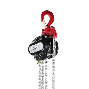 DELE DF top quality 1500kg 1.5t*3m manual chain hoist construction block lever hoist and chains hoists