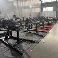 Machine d'hyperextension commerciale GHD robuste pour le renforcement des fessiers et des ischio-jambiers – Chaise romaine