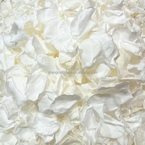 Pétalos de Rosa Preservados, Confeti para Bodas, Pétalos Grandes, Decoración para Cesta de Niña de las Flores, para el Día de San Valentín - Product Image 2