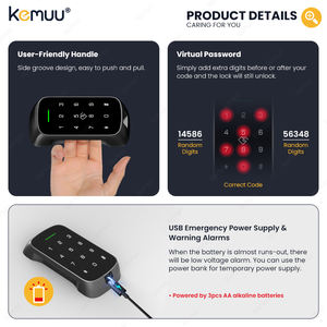 Serrure intelligente pour l'accès à la carte APP/PIN/RFID de l'Asie du Sud-Est conception antirouille logo OEM accepté avec livraison d'échantillon en 7 jours - Product Image 3