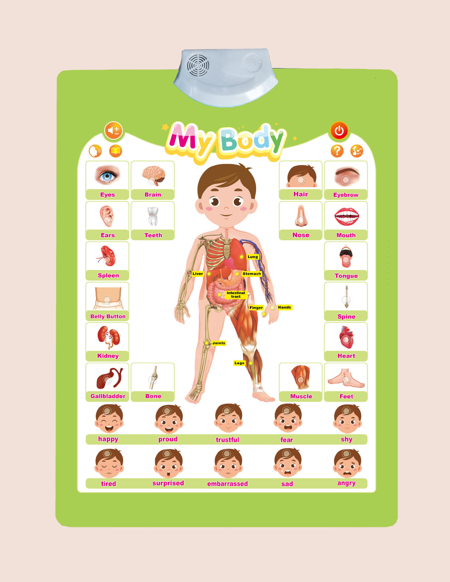 Inglés completo bebé autoconciencia