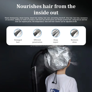 Vaporizador Facial y Capilar 2026, Micro Vaporizador Capilar, Máquina de Micro-Niebla con Iones Negativos, Dispositivo de Cuidado Capilar SPA, Dispositivo Rociador - Product Image 5