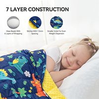Couverture en peluche lestée pour l'autisme en gros Insugar Dinosaur Fleece Sleeping Calm Minky Dots Kids Hush Weighted Blankets
