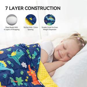 Couverture en peluche lestée pour l'autisme en gros Insugar Dinosaur Fleece Sleeping Calm Minky Dots Kids Hush Weighted Blankets - Product Image 5