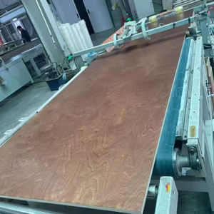 <span class=keywords><strong>Contreplaqué</strong></span> d'intérieur de meubles de noyau de <span class=keywords><strong>peuplier</strong></span> face au bouleau - Product Image 4