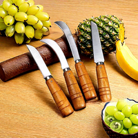 Couteau à éplucher les ananas pour la maison, ensemble de quatre pièces, acier inoxydable, livraison en 24h