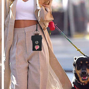 Distributeur de sacs à déjections canines portable en toile avec mousqueton pour l'élimination des déchets d'animaux - Product Image 3