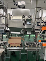 Machine d'emballage entièrement automatique pour noix de cajou mélangées, remplissage par poids dans des cartons en papier pour aliments secs, 5kg 10kg 15kg 20kg