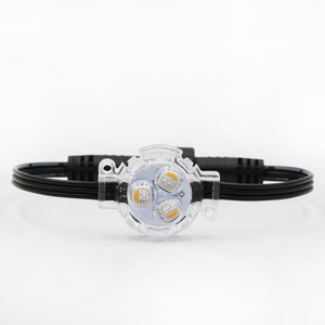 <span class=keywords><strong>Pixel</strong></span> direccionable LED string 30mm 40mm 50mm dia ws2811 1903 rgbw impermeable LED punto <span class=keywords><strong>pixel</strong></span> módulo de luz - Product Image 5
