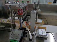 Ligne de production de lingettes humides pour bébés et adultes, machine de fabrication de lingettes humides pour soins personnels