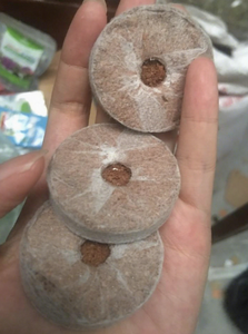 Échantillon Gratuit de Pellets de Tourbe de Coco de Haute Qualité, Écologiques et Biodégradables, pour la Plantation et la Culture, Prix Abordable - Product Image 6