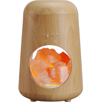 Humidificador con Lámpara de Sal del Himalaya, Difusor de Aromaterapia con Aceites Esenciales, Humidificador de Vapor Frío de 120 ml, Funcionamiento Silencioso, Alimentación por USB