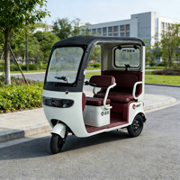 Mini Triciclo Eléctrico con Gran Autonomía, Protección Solar y Contra la Lluvia, para Compras y Multifuncional
