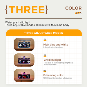 Isolation d'<span class=keywords><strong>aquarium</strong></span> Betta en verre ultra blanc petit réservoir de poissons filtre combiné multi-grille eau sans changement - Product Image 5