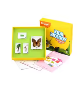 Gelsonlab HSBS-079  8 espèces de spécimens de scarabées chafers enrobés dans des spécimens biologiques - Product Image 2