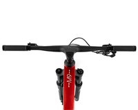 Vélo de montagne FLM M9-Elite Carbon XC Race 29er 12 vitesses Léger 11,3 kg MAXXIS Hydraulique Bicicleta Montana Mountainbike