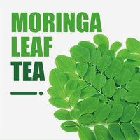 Té de Moringa Orgánico 100% Natural en Bolsas, Personalizable con Etiqueta, para Pérdida de Peso y Abdomen Plano