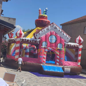 Château gonflable pour fête en plein air avec toboggan Aufblasbarer Vergnugungspark <span class=keywords><strong>Aire</strong></span> <span class=keywords><strong>de</strong></span> <span class=keywords><strong>jeux</strong></span> pour gâteau d'<span class=keywords><strong>anniversaire</strong></span> gonflable - Product Image 2