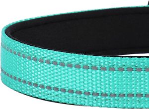 Collier réfléchissant pour reptiles PWOD, orné de bijoux, réglable, rembourré en néoprène souple avec boucle pour reptiles de taille moyenne, TealM - Product Image 5