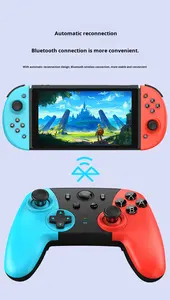 Nieuwe privé-mal voor Switch Pro gamecontroller vibratieprogrammering grensoverschrijdend exclusief niet-infringement NS-handvat - Product Image 6
