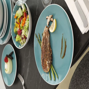 En septiembre promocionamos platos de alta calidad, platos de cerámica para restaurantes, platos para la cena, juegos de platos de cerámica. - Product Image 2