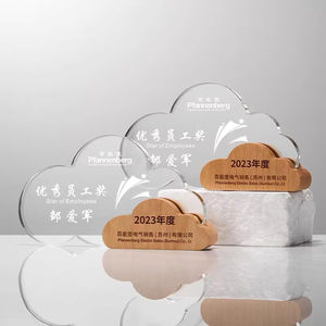 Trofeo <span class=keywords><strong>de</strong></span> cristal conmemorativo personalizado Diseño en forma <span class=keywords><strong>de</strong></span> nube Trofeos <span class=keywords><strong>de</strong></span> cristal <span class=keywords><strong>de</strong></span> madera - Product Image 5