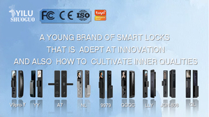 Modern Style Home Office Safe <b>Digital</b> <b>Lock</b> Parts Cylinder Tuya Smart Entrance <b>Lock</b> Body Set Door <b>Lock</b> Handle Set - Product Image 6