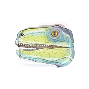 DAMAI Nouveaux kits de fournitures de fête à thème animal, assiettes en papier jetables en forme de dinosaure, ensembles de vaisselle pour fête d'enfants - Product Image 3