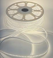 Bande LED Flexible 36V 5050 en Gros, 60 LED/M, Étanche IP65