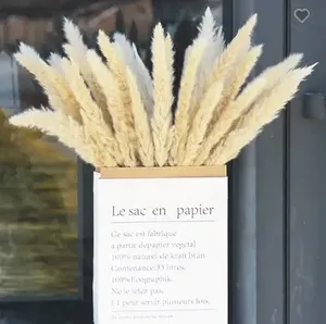 Decoración <span class=keywords><strong>de</strong></span> Hierba Seca al por Mayor, Flores Secas para Decoración <span class=keywords><strong>de</strong></span> Bodas, Accesorios para Fotografía, Hierba Grande - Product Image 5