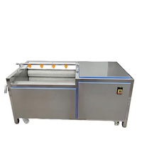 HXJ Automatische Motor Aardappel Wortel Gember Schil- en Wasmachine met Rolborstel