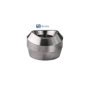 WZ Acero inoxidable 304 316 316L Instalación de tuberías Forjado <span class=keywords><strong>Sockolet</strong></span> - Product Image 1