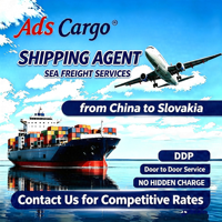 Envío de mercancías por circulación aérea: Transporte marítimo LCL de China a Eslovaquia, DDP con doble despacho de aduanas, impuestos incluidos