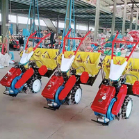 Machines à Ail Semoir Agriculture Semoir à Ail Planteur à Main 4 Rangées pour Ail