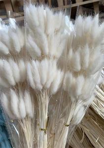 60Pcs Thỏ Đuôi Cỏ Bảo Quản Thỏ Đuôi Cỏ Khô Bó Hoa Cho Boho Trang Trí Nội Thất - Product Image 4