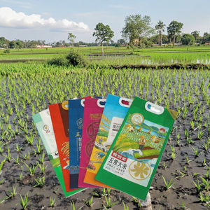 Напечатанные на заказ пластиковые нейлоновые Упаковочные пакеты с плоским дном для упаковки риса - Product Image 6