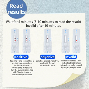 EHR YLM ANA GIA CPV CCV Canine <span class=keywords><strong>Test</strong></span> Rapide Giardia Ehrlich Kits de <span class=keywords><strong>Test</strong></span> d'Anaplasmose pour Chiens - Product Image 5